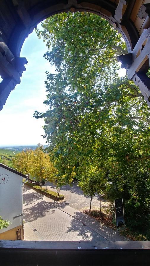 Privathotel Der Schwarze Herrgott No Tv Zellertal Eksteriør bilde
